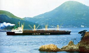 ジャパン エルム Japan Elm
