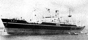 乾國丸 Kenkoku Maru