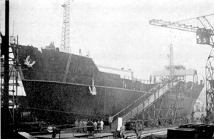 三笠山丸 Mikasasan Maru
