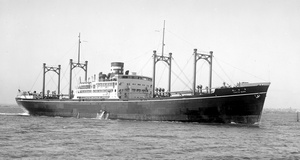 Tokyo Maru