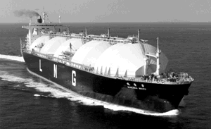 若葉丸 Wakaba Maru