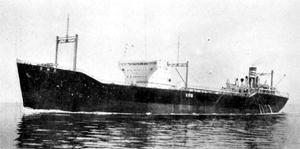 大椎丸 Daisui Maru