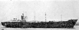 陽興丸 Yoko Maru