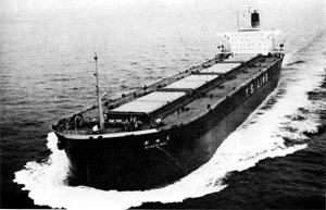 新幡丸 Niihata Maru