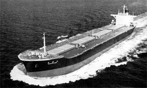 若幡丸 Wakahata Maru